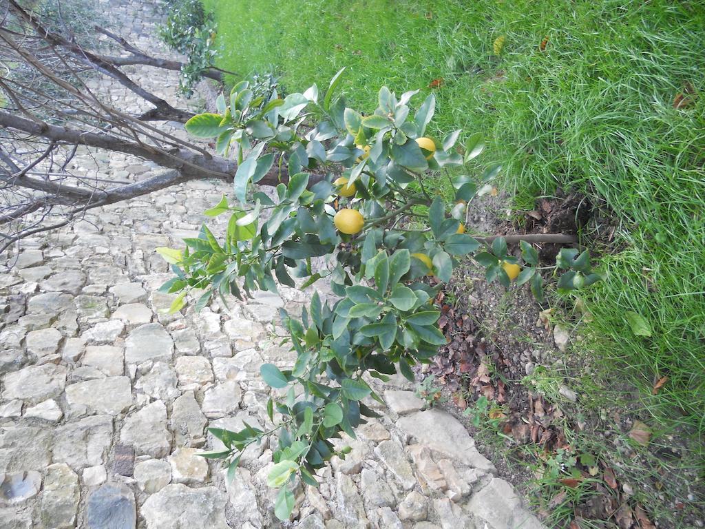 Casa Maya Brenzone sul Garda Kültér fotó